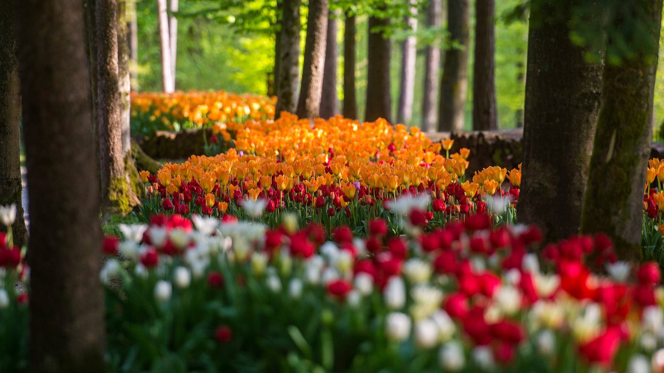 Arboretum Volčji Potok i Ljubljana 🌷 - Starline putnička agencija 
