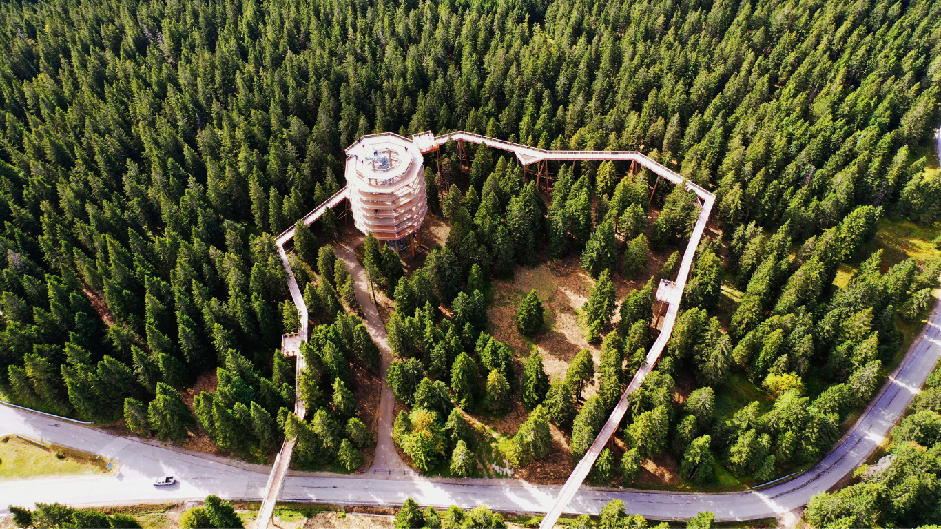 Naslovna - Starline putnička agencija Pot med krošnjami i Maribor 🌳